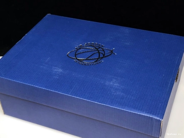 International 136064-140  Jordan Retro Flight 3 0403